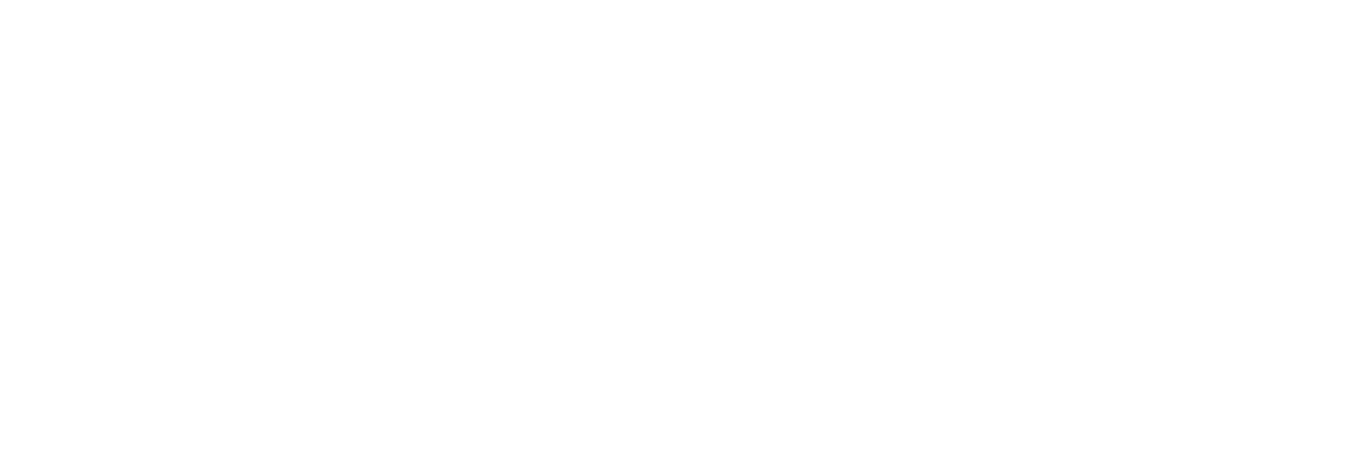 Icon_EV_Dealer_Logo_White